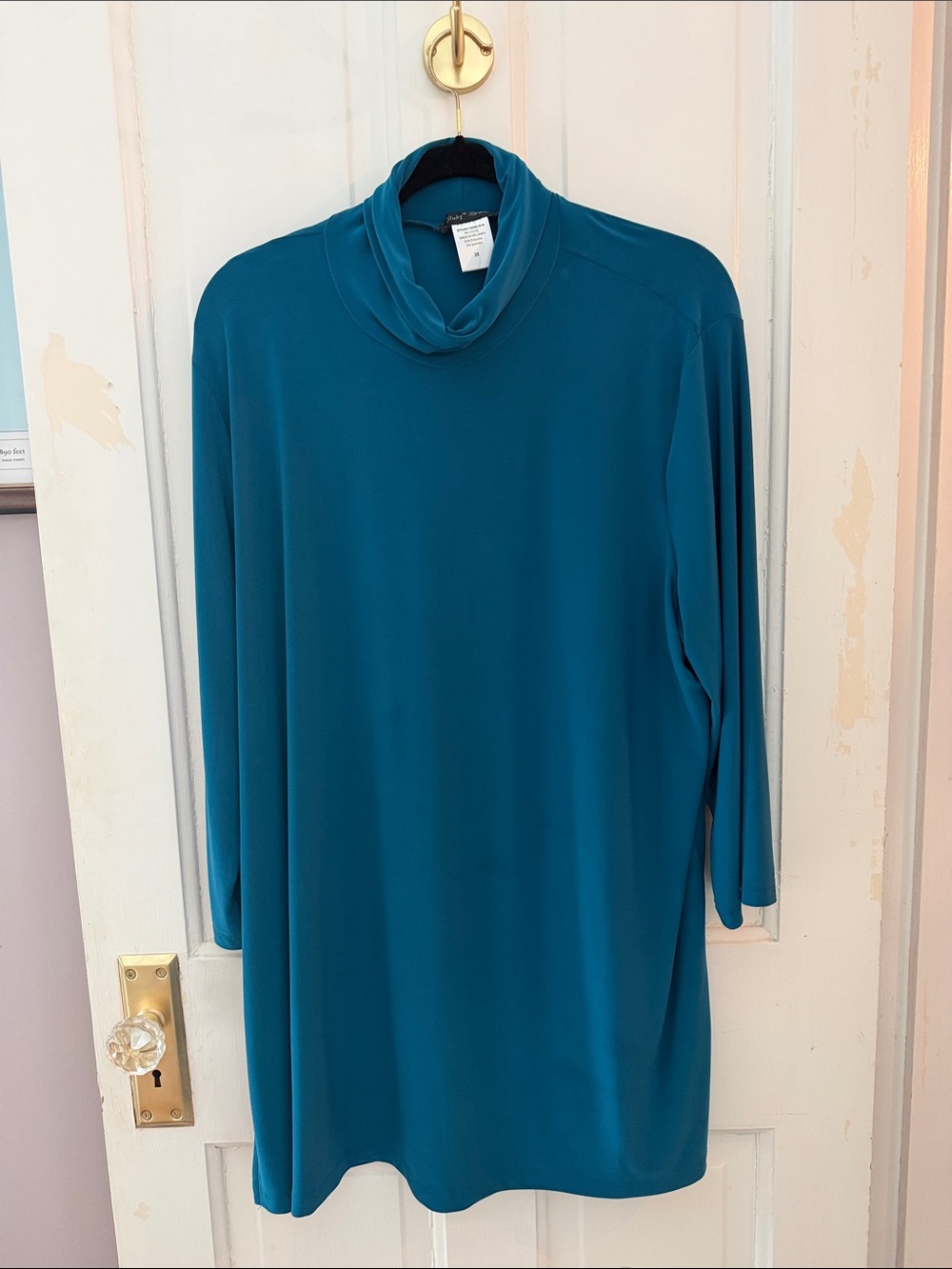 Slinky Brand Teal Long-Sleeve Cowl Neck Tunic